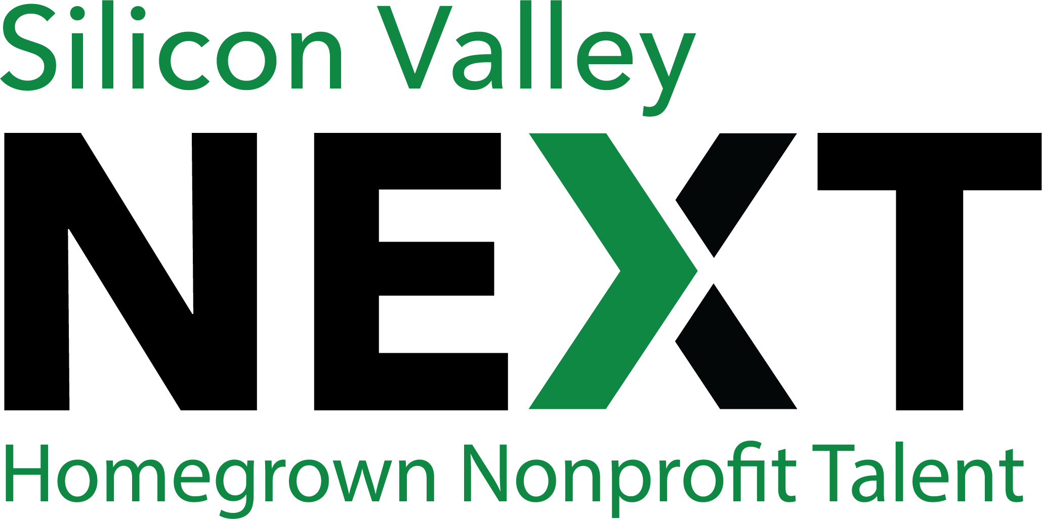 Silicon Valley Next Logo